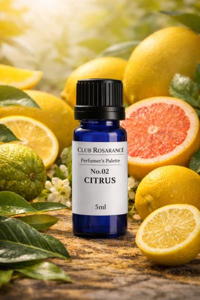 Blending PaletteNo.2 CITRUS